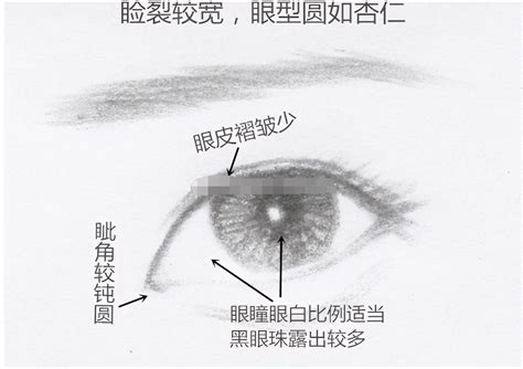 瑞鳳眼男|桃花眼，丹鳳眼，瑞鳳眼，傳統眼型盤點